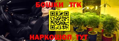 Альфа ПВП Пушкино