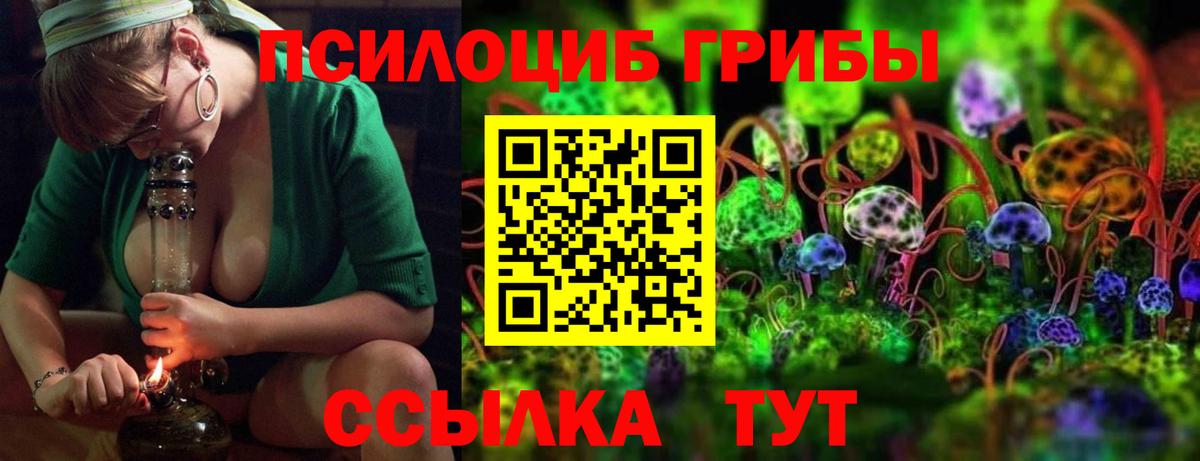 Галлюциногенные грибы Psilocybe Одинцово