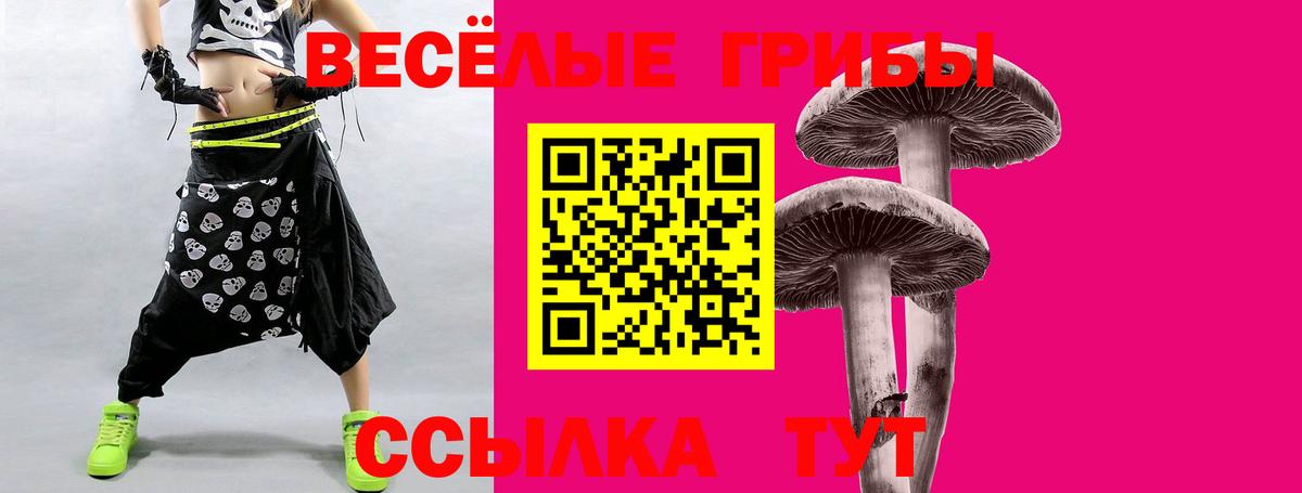 Галлюциногенные грибы Magic Shrooms  Псилоцибиновые грибы ЛСД  Одинцово  Вход с VPN 